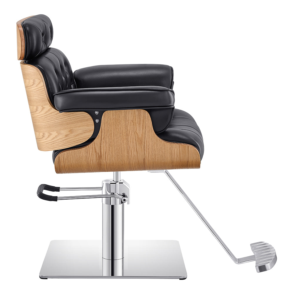 Deames Salon Chair