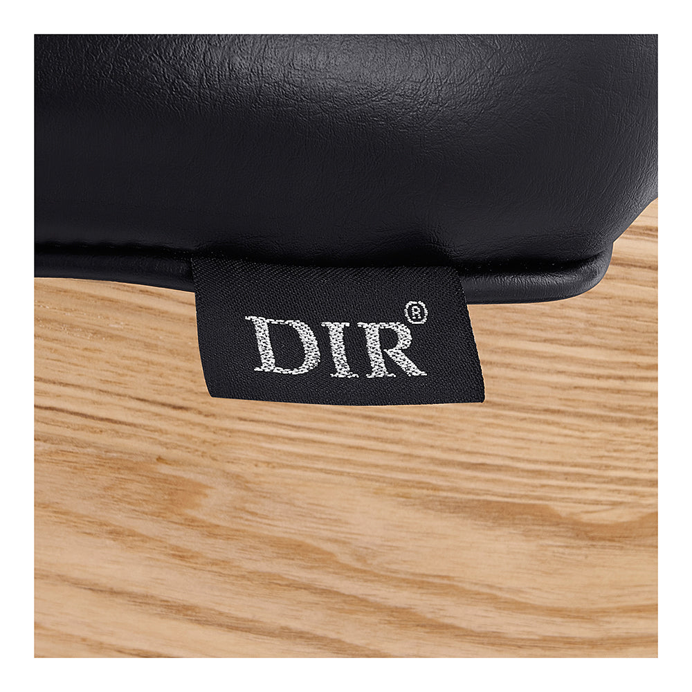 Deames Salon Chair