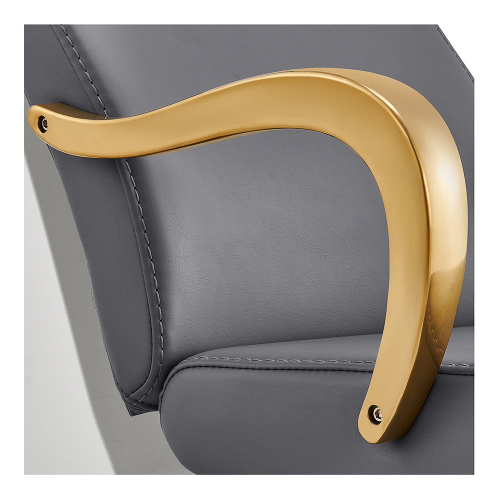 Beckman Gold Salon Shampoo Seat