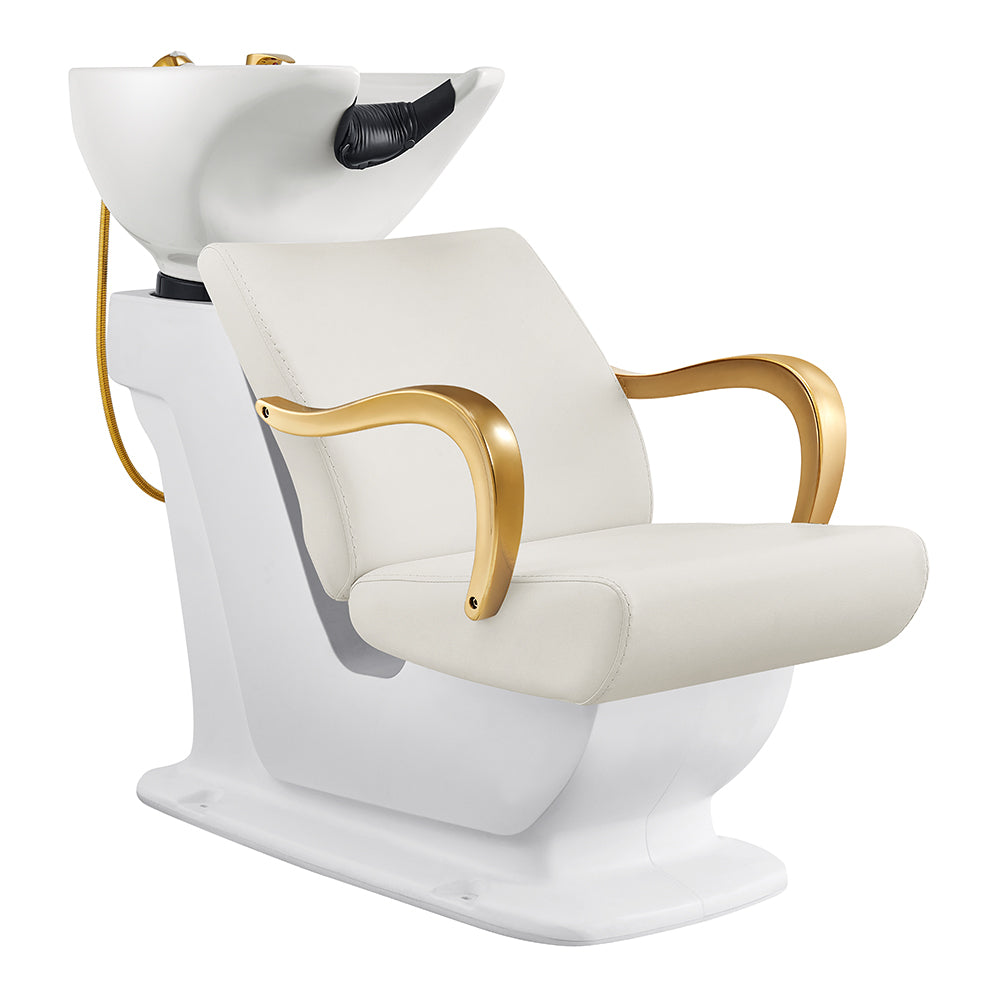 Beckman Gold White Shampoo Backwash Unit