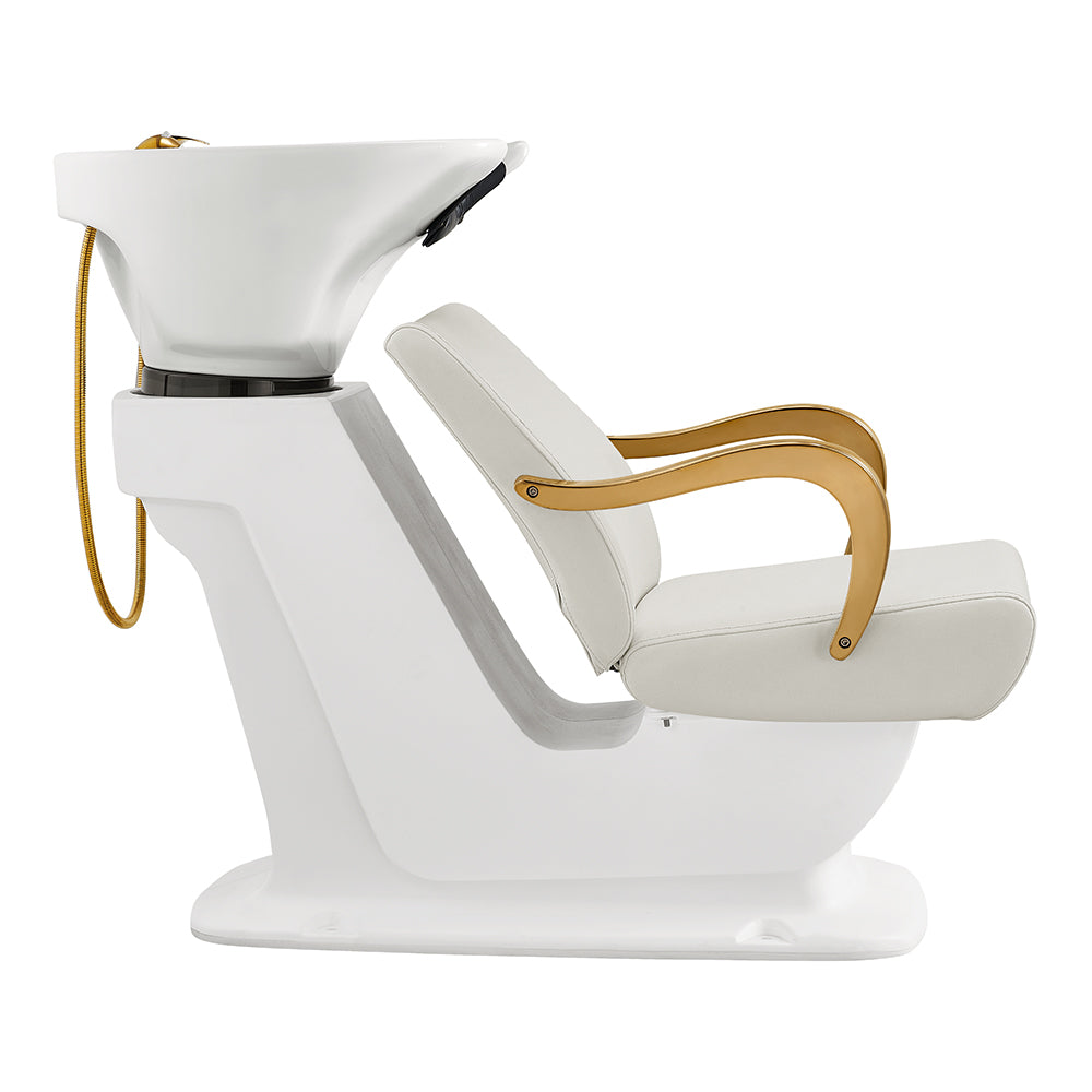 Beckman Gold White Shampoo Backwash Unit