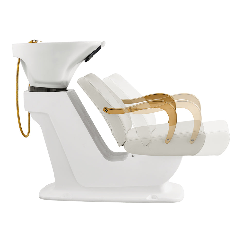 Beckman Gold White Shampoo Backwash Unit