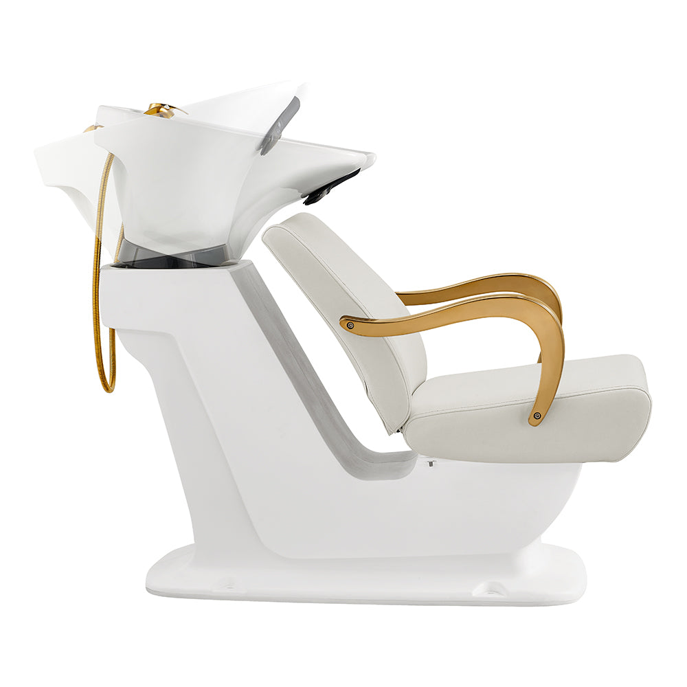 Beckman Gold White Shampoo Backwash Unit