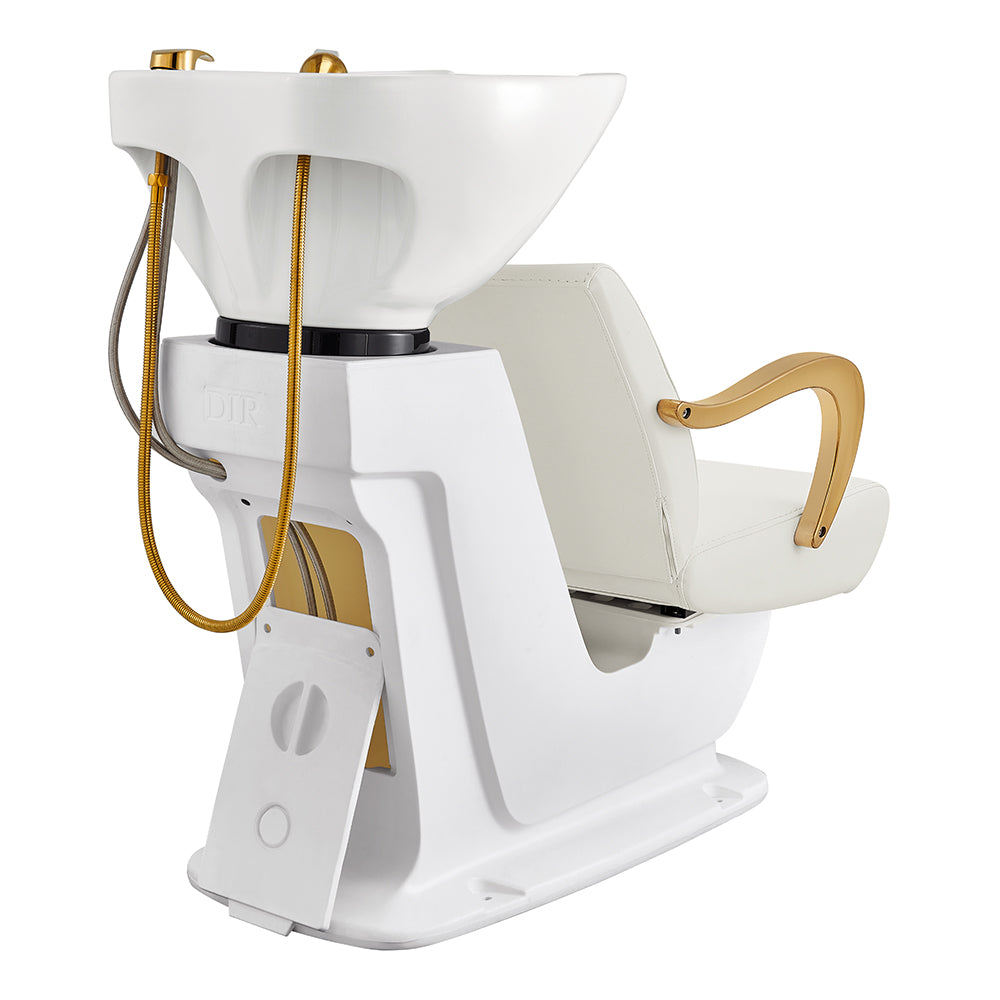 Beckman Gold White Shampoo Backwash Unit
