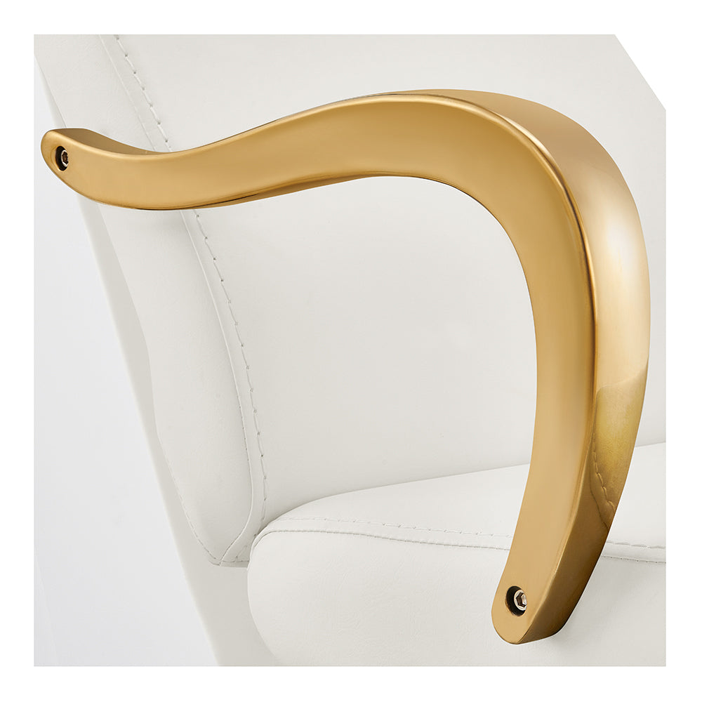 Beckman Gold White Shampoo Backwash Unit