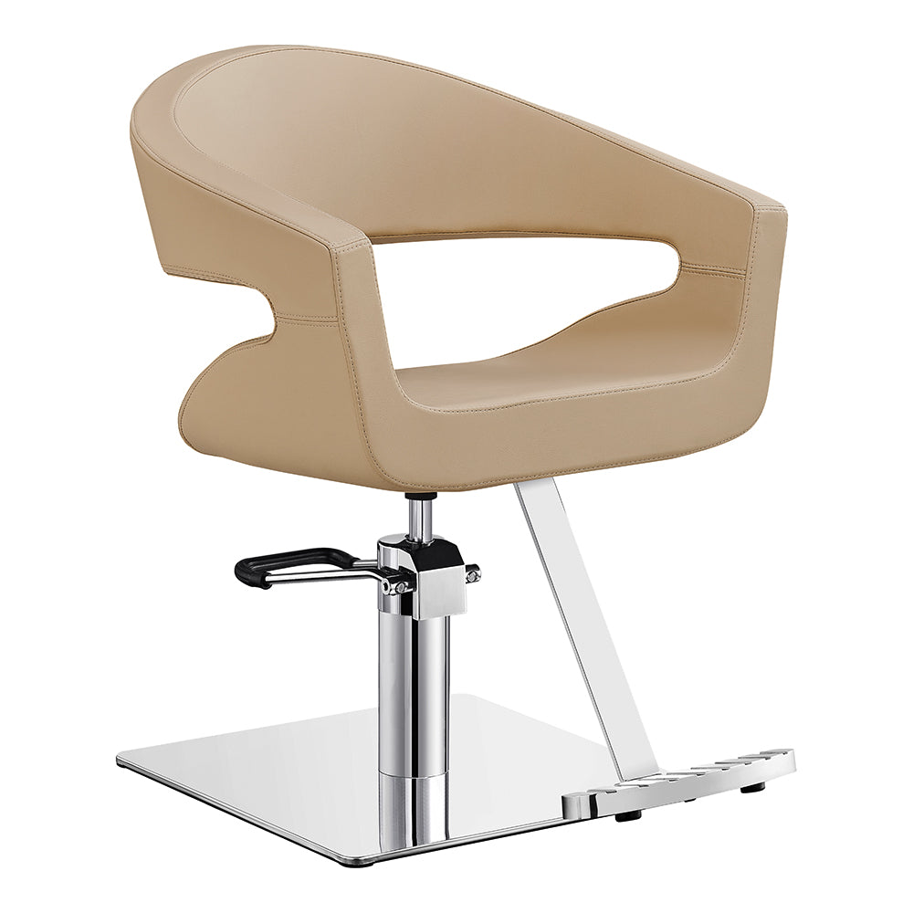 Beauty Salon Styling Chair