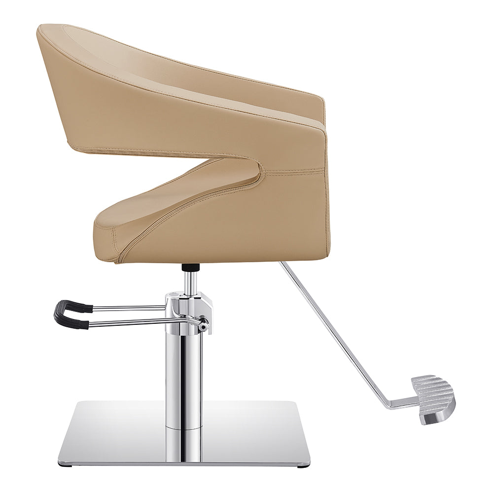 Beauty Salon Styling Chair