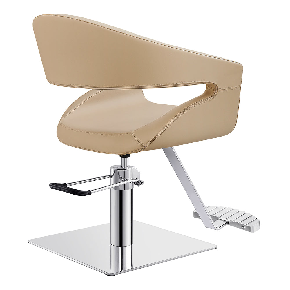 Beauty Salon Styling Chair