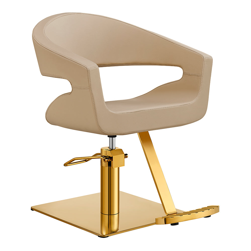 Beauty Salon Styling Chair