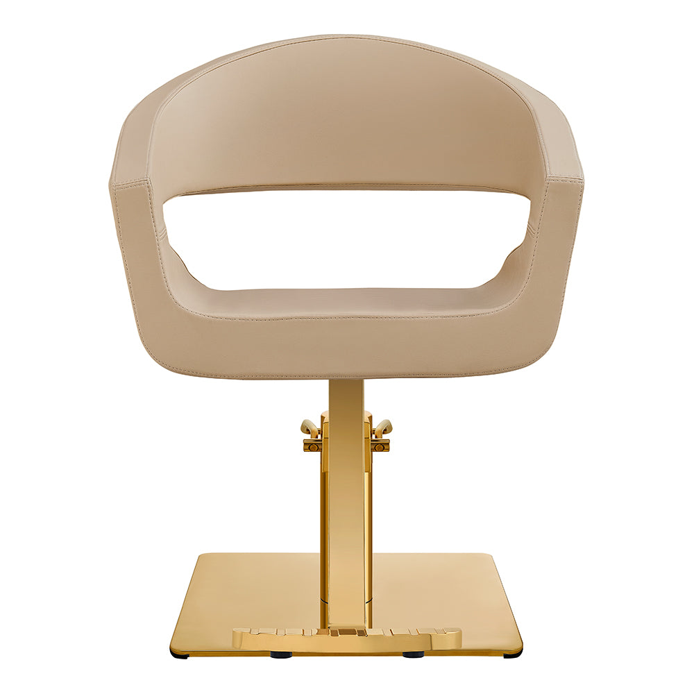 Beauty Salon Styling Chair