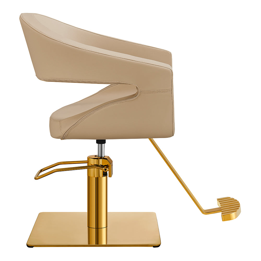 Beauty Salon Styling Chair