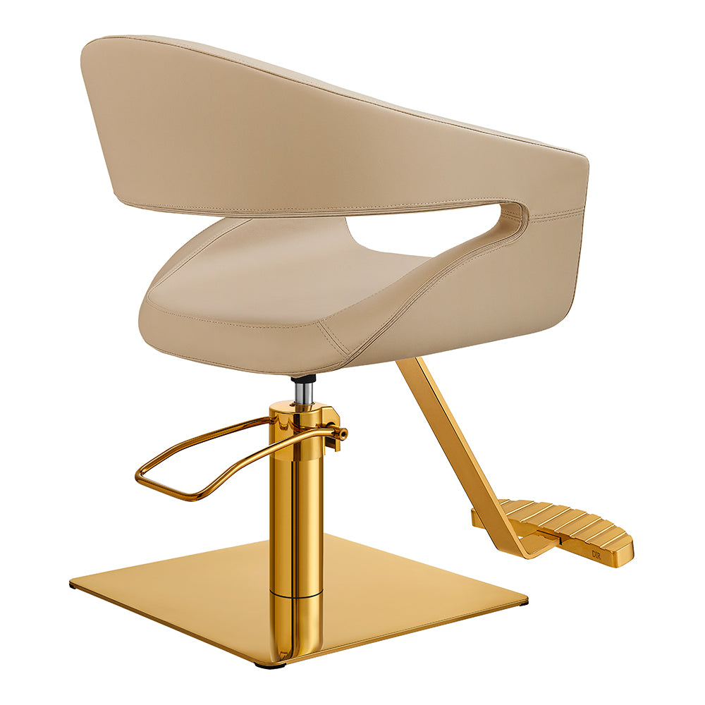 Beauty Salon Styling Chair