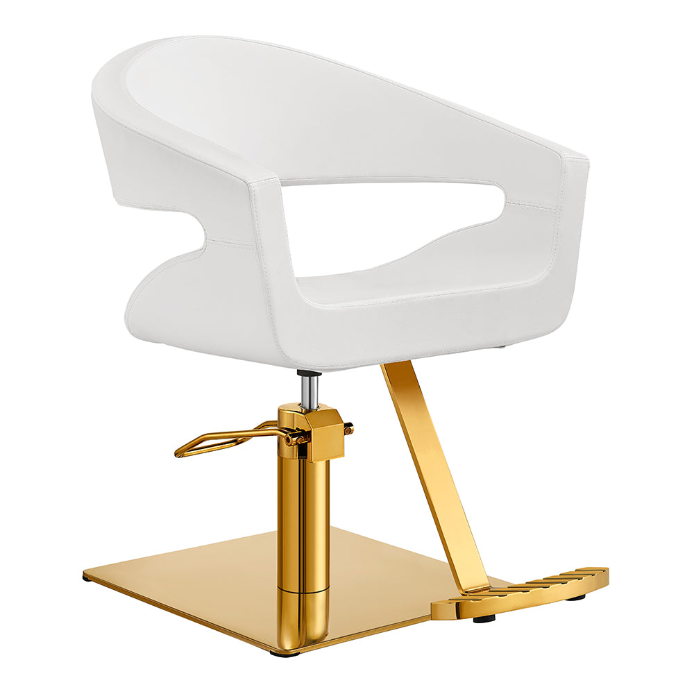 Gama High Quality Salon Chairs