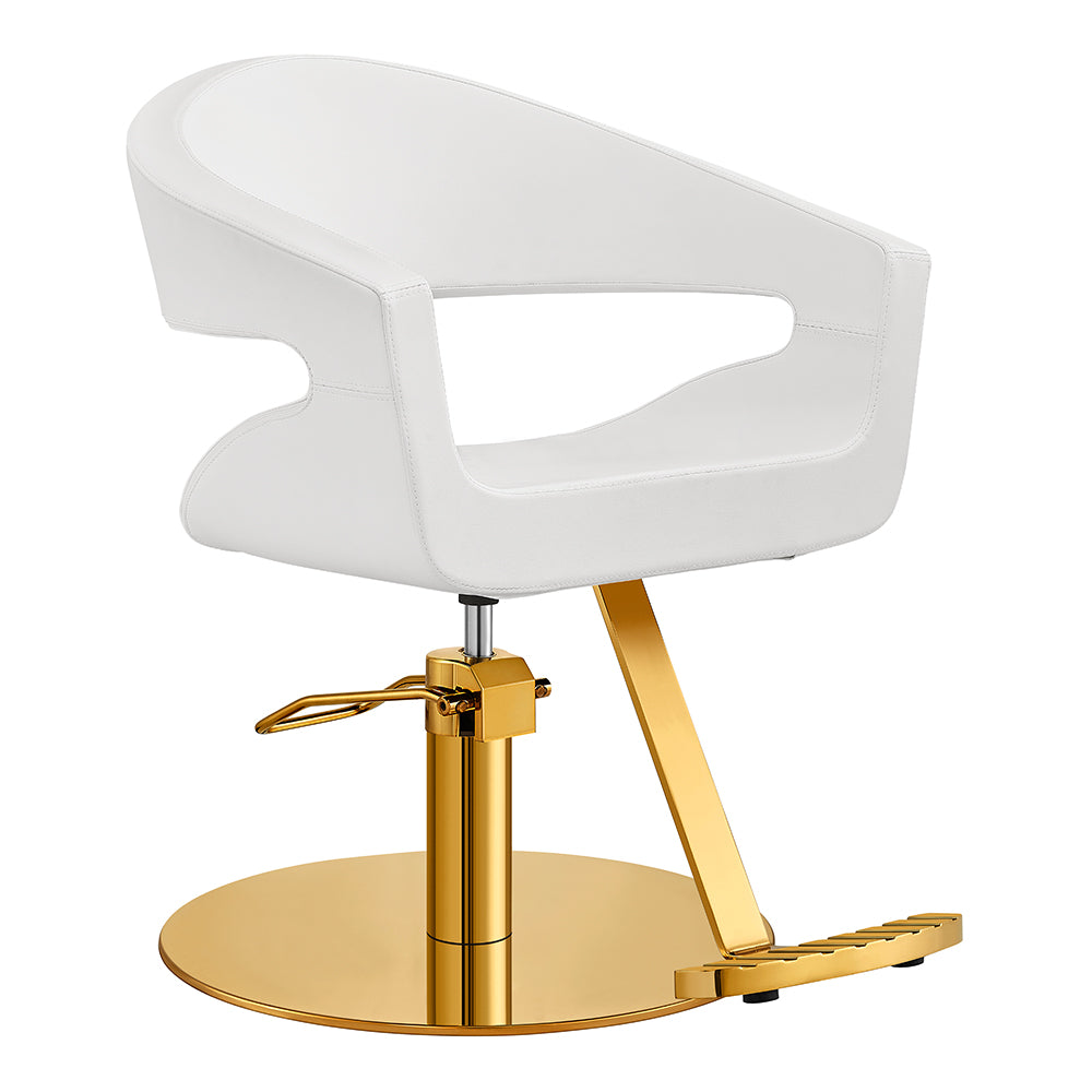 Gama High Quality Salon Chairs