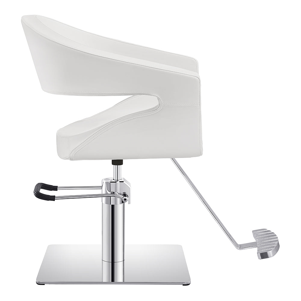 Gama High Quality Salon Chairs