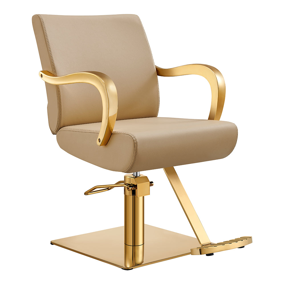meteor gold beige salon chair