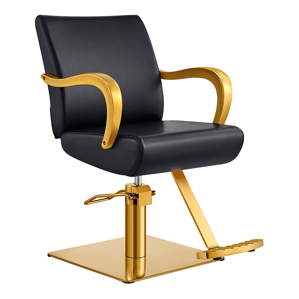 meteor gold black salon styling chair
