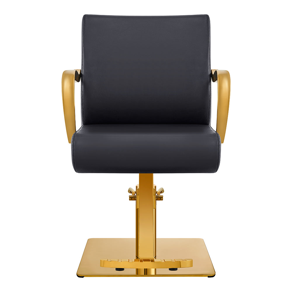 meteor gold black salon styling chair