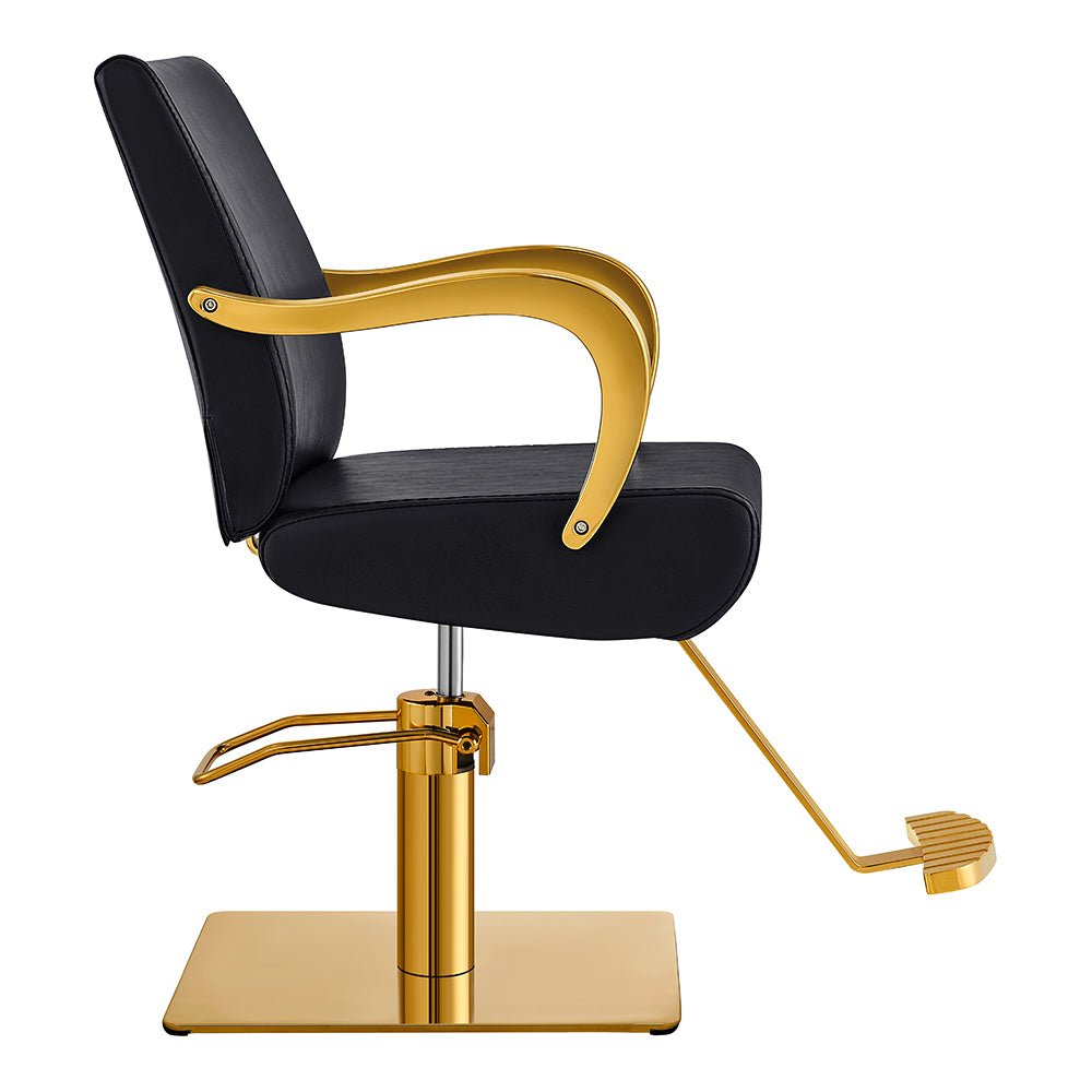 meteor gold black salon styling chair
