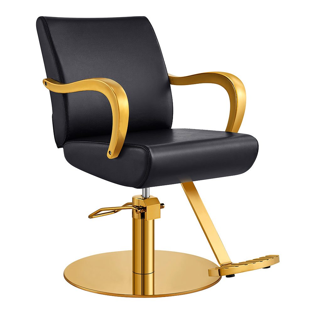 meteor gold black salon styling chair