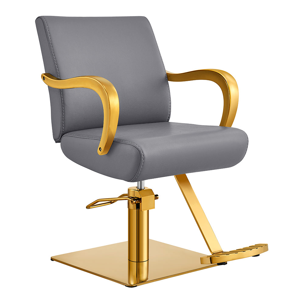 meteor gold gray salon styling chair