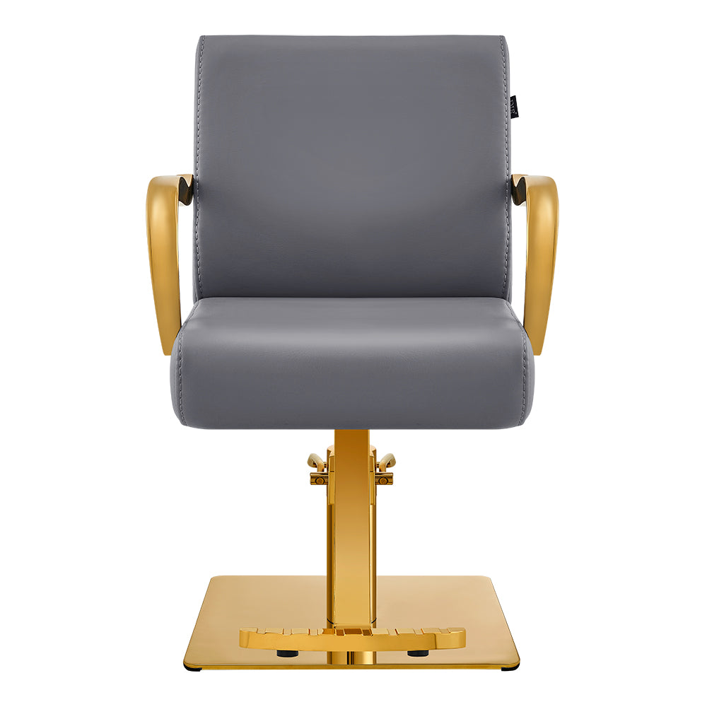 meteor gold gray salon styling chair