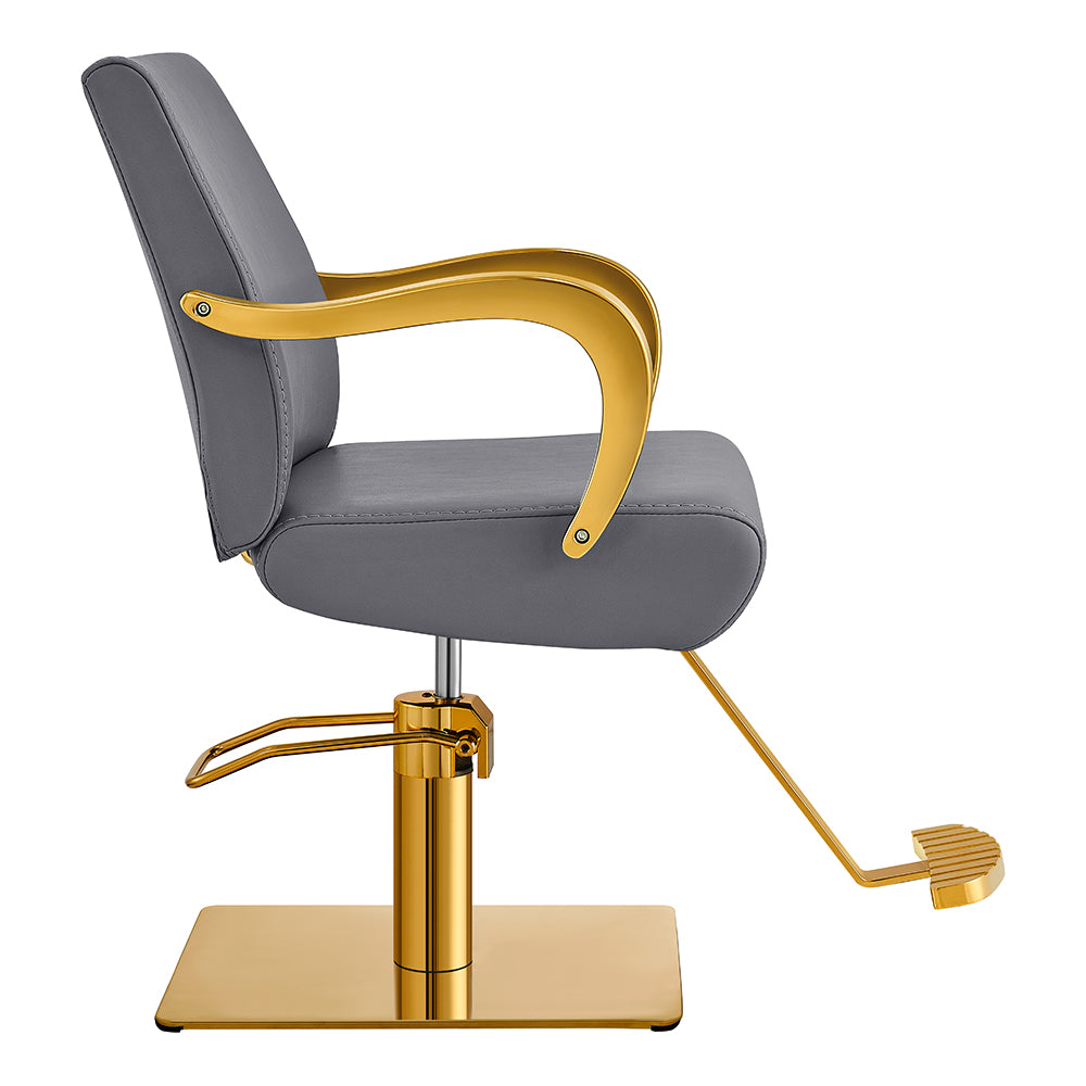 meteor gold gray salon styling chair