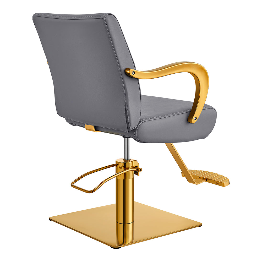 meteor gold gray salon styling chair