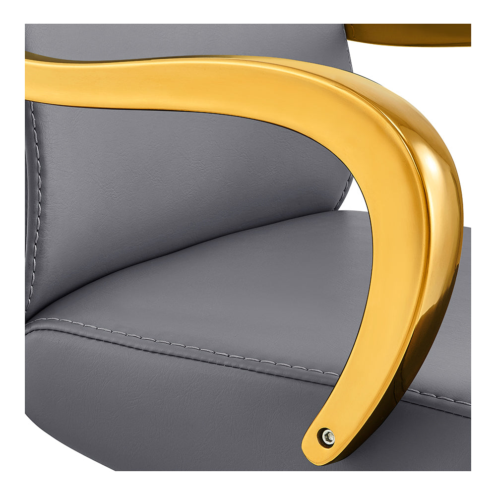 meteor gold gray salon styling chair