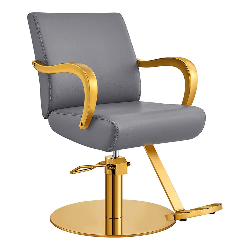 meteor gold gray salon styling chair