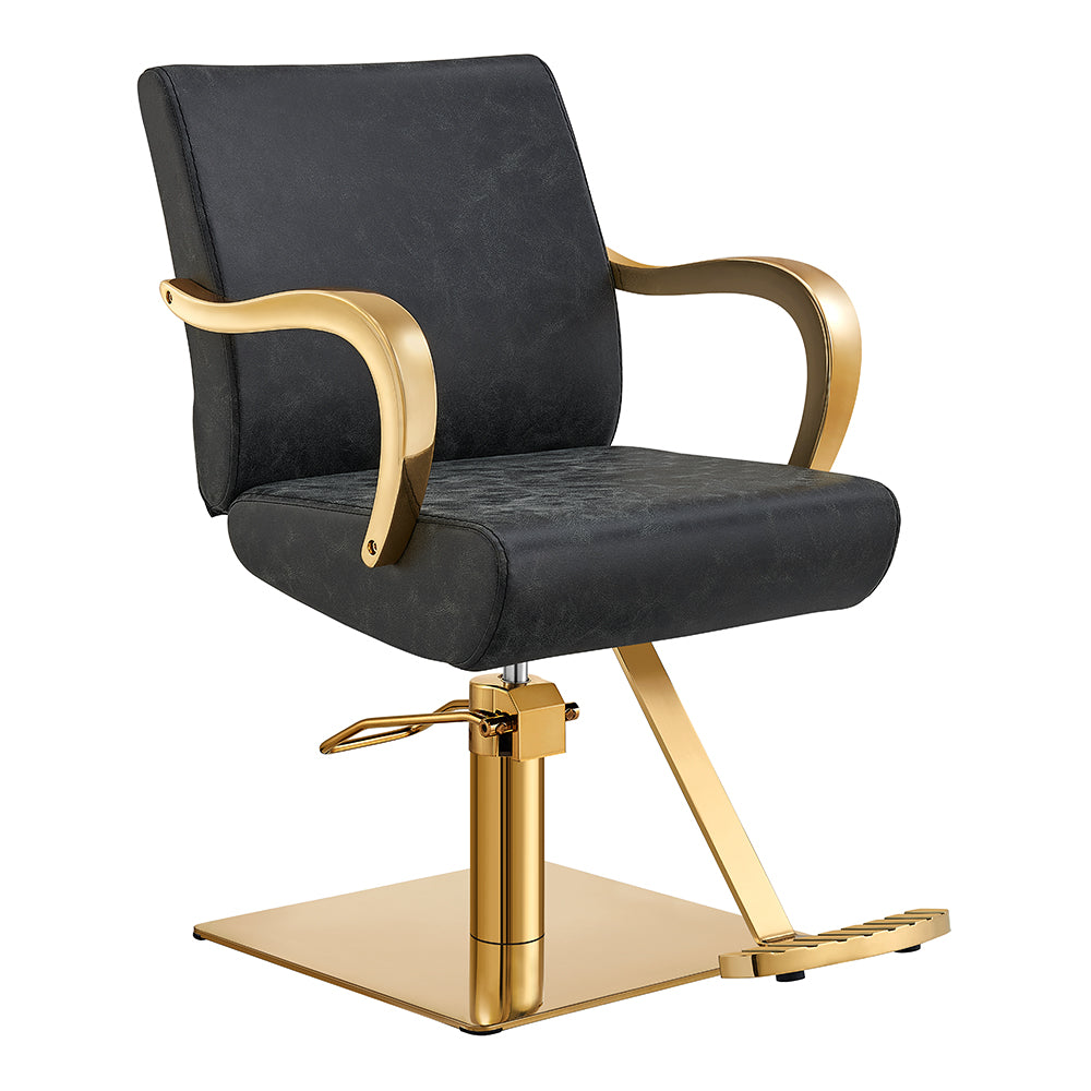 meteor gold vintage black salon chair