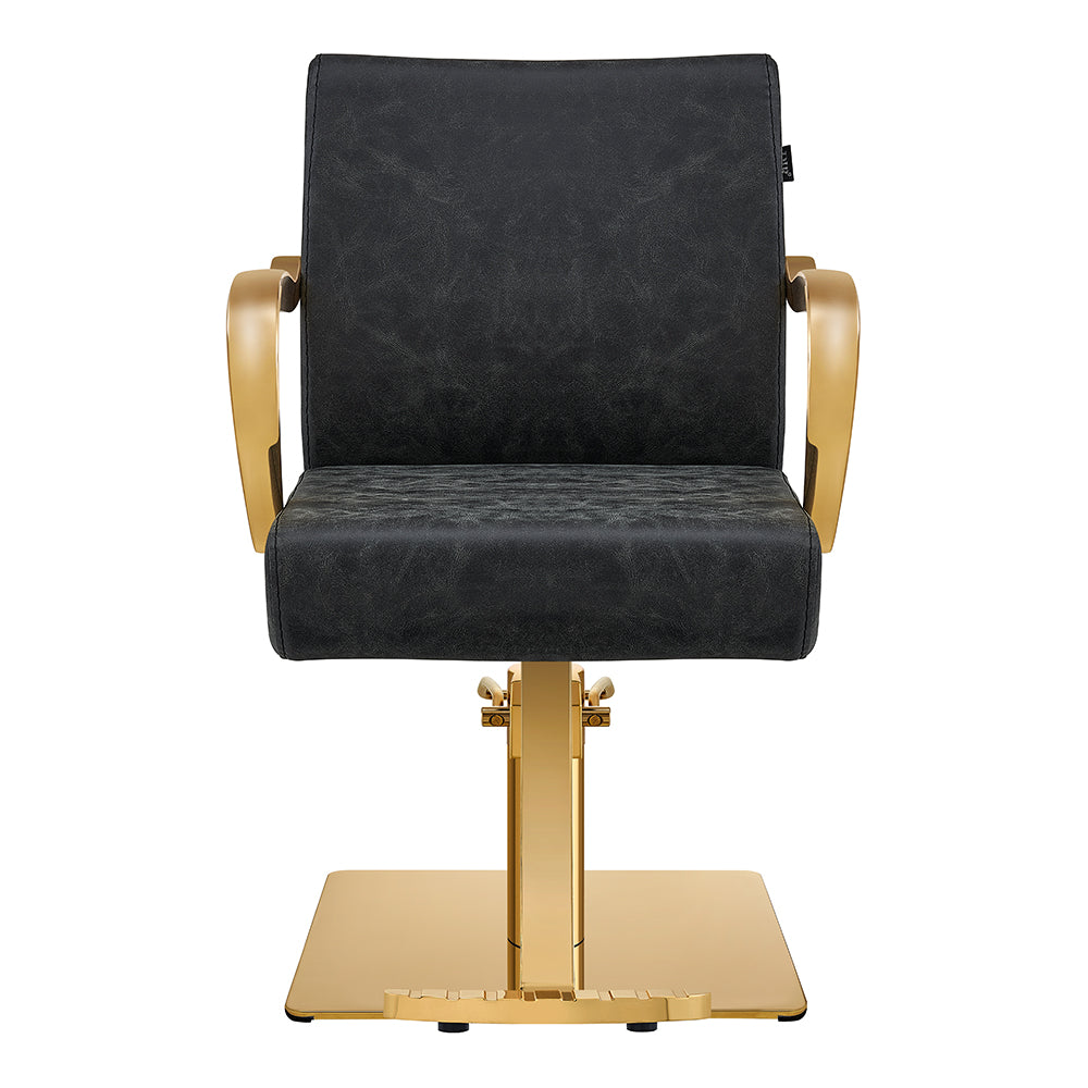 meteor gold vintage black salon chair