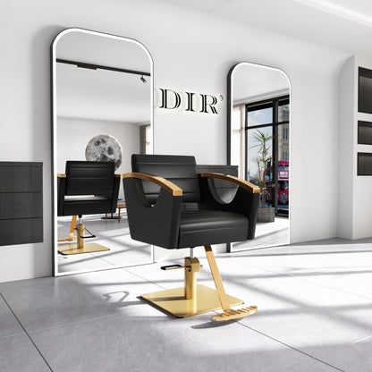 Bello Modern Gold Salon Chair
