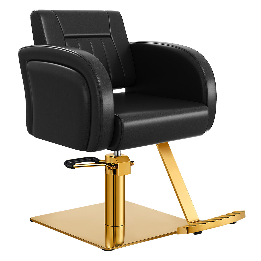 Anodic Salon Styling Chairs