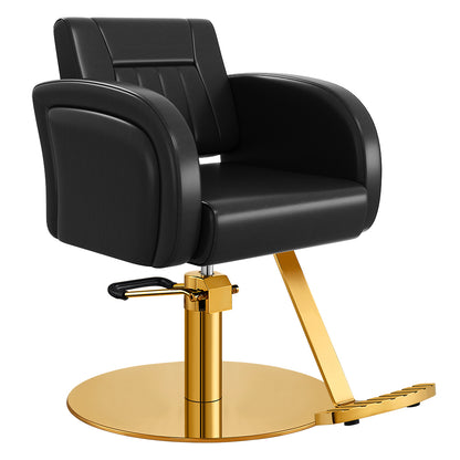 Anodic Salon Styling Chairs