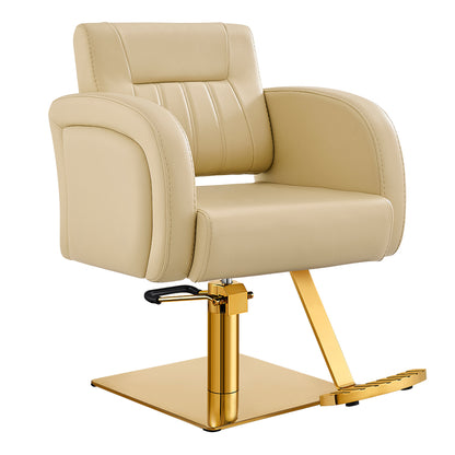 Anodic Salon Styling Chairs