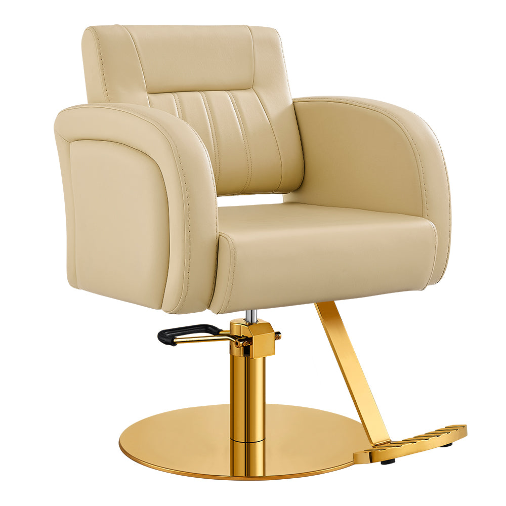 Anodic Salon Styling Chairs