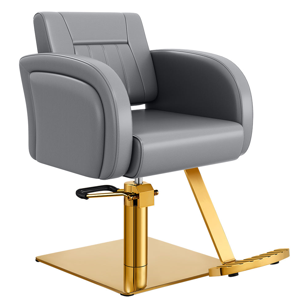 Anodic Salon Styling Chairs
