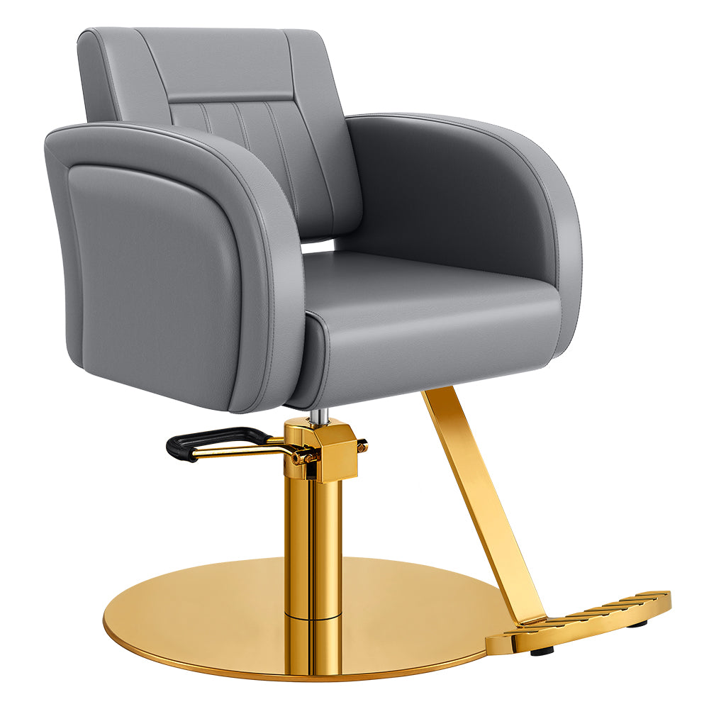 Anodic Salon Styling Chairs