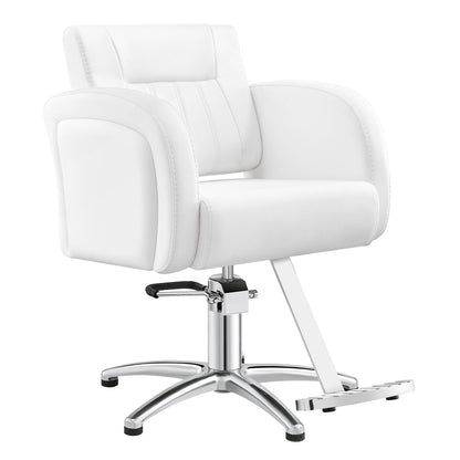 Anodic Salon Styling Chairs