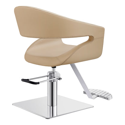  Beauty Salon Styling Chair