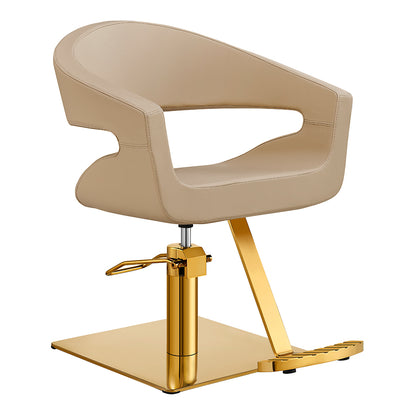  Beauty Salon Styling Chair