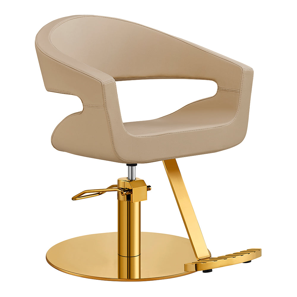  Beauty Salon Styling Chair
