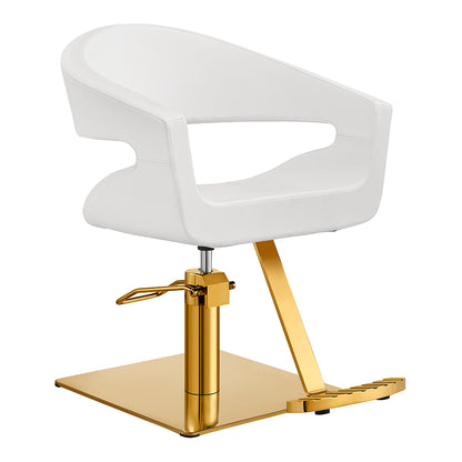 Gama High Quality Salon Chairs