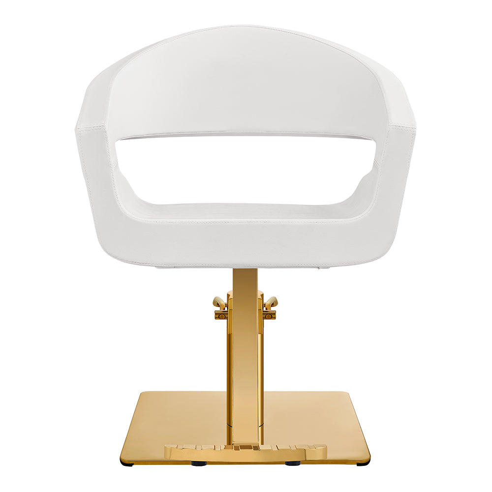 Gama High Quality Salon Chairs