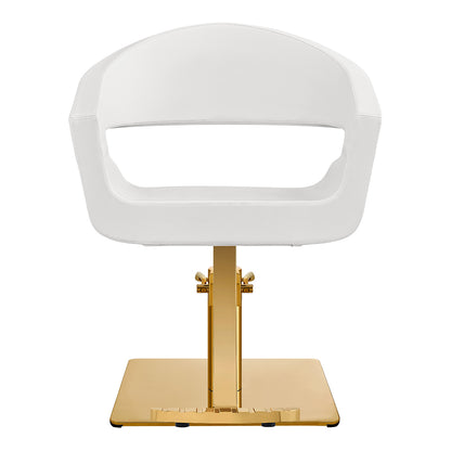 Gama High Quality Salon Chairs