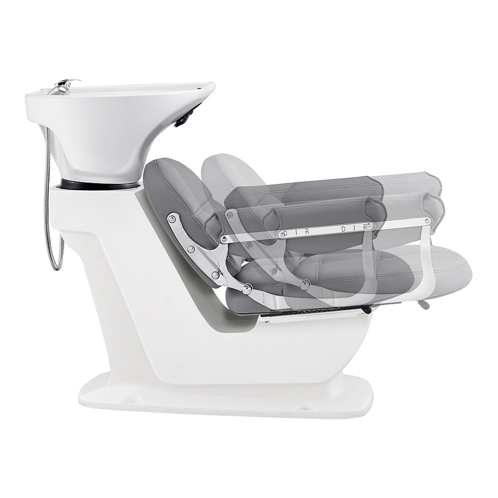 Backwash Shampoo Units