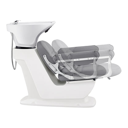Backwash Shampoo Units