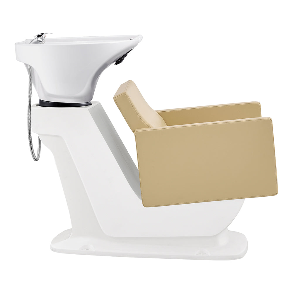 Salon Shampoo Station