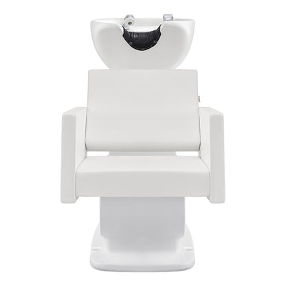 Salon Shampoo Chair